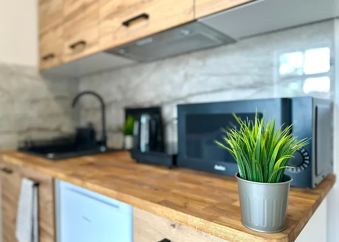 Mmrent Fauna * Gdańsk