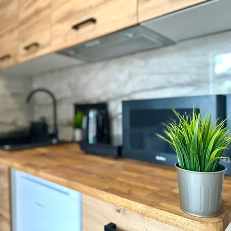 Mmrent Fauna * Γκντανσκ